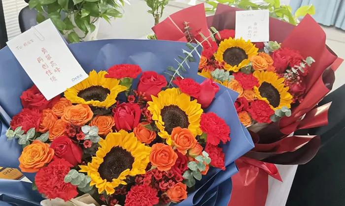 以夢為馬，不負(fù)韶華